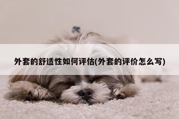 JN江南·体育：外套的舒适性如何评估(外套的评价怎么写)