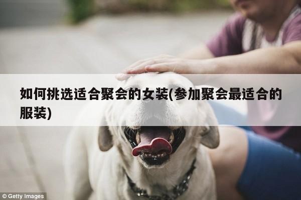 如何挑选适合聚会的女装(参加聚会最适合的服装)-JN江南·体