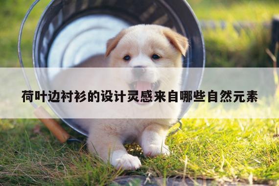 荷叶边衬衫的设计灵感来自哪些自然元素|JN江南·体育